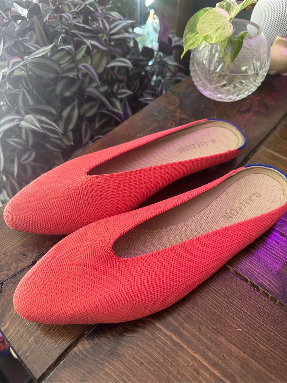 Rothy's Coral Knit Pointed Slip-On Flats